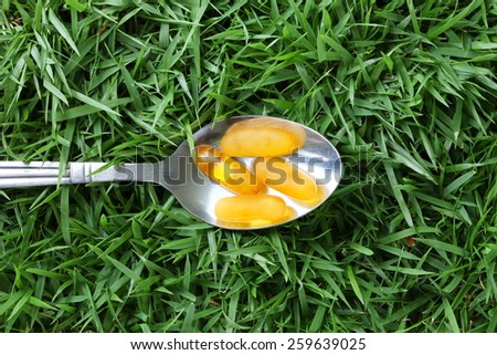 Vitamin yellow color capsule in the table spoon put on grass background represent the medicine and vitamin related.
