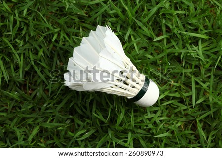 Shuttle cock put on the grass background represent the badminton sport equipment related concept idea.