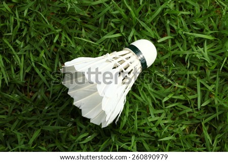Shuttle cock put on the grass background represent the badminton sport equipment related concept idea.