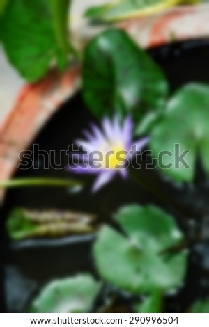 Blurry focus of lotus scene among daytime natural light represent the natural concept related idea.