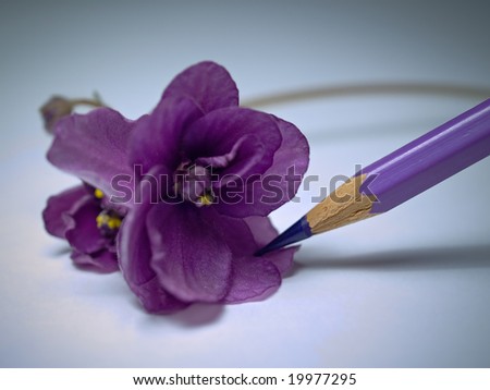closeup of violet flower and pencil. shallow dof. artificial vignetting