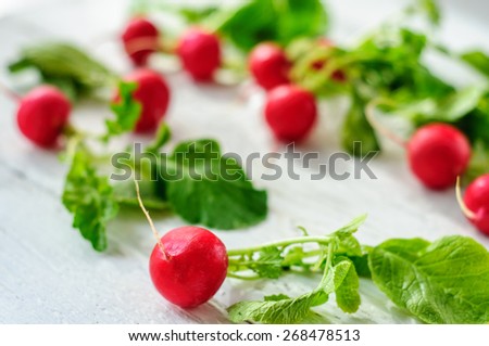 Young fresh radishes on white wooden background