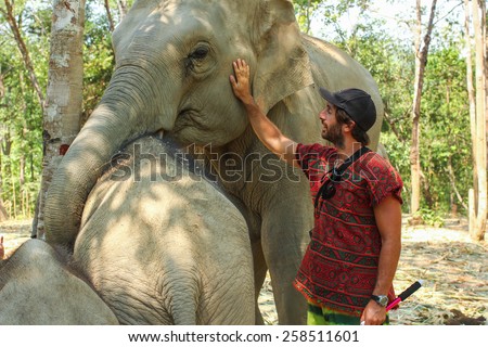 CHIANG MAI, THAILAND - MARCH 7 : People can experience lifestyle of elephants in their natural habitat (no hook, no chain) on MARCH 7, 2015 in Chiang Mai, Thailand.
