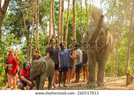 CHIANG MAI, THAILAND - MARCH 13 : People can experience the lifestyle of elephants in their natural habitat (no hook, no chain, no riding) on MARCH 13, 2015 in Chiang Mai, Thailand.