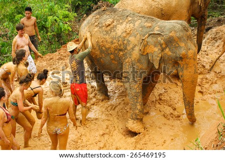CHIANG MAI, THAILAND - MARCH 27, 2015 : People can opportunity to experience the lifestyle of elephants and mud spa with the elephant. (no hook, no chain) in Chiang Mai, Thailand.