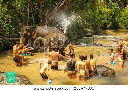 CHIANG MAI, THAILAND - MARCH 30, 2015 : People have opportunity to experience the lifestyle of elephants and bathing with elephant \
in river. (no hook, no chain, no riding) in Chiang Mai, Thailand.