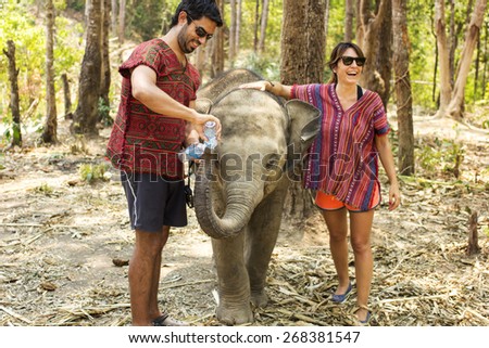 CHIANG MAI, THAILAND - APRIL 4, 2015 : People can experience the lifestyle of elephants in their natural habitat  (no hook, no chain, no riding) in Chiang Mai, Thailand.