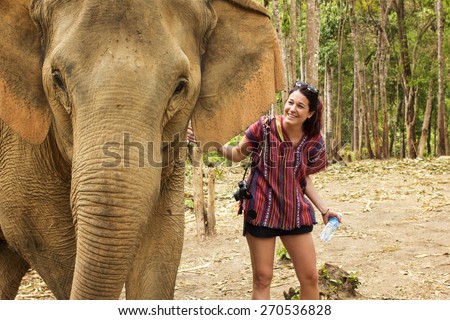 CHIANG MAI, THAILAND - APRIL 13, 2015 : People can experience the lifestyle of elephants in their natural habitat (no hook, no chain, no riding) in Chiang Mai, Thailand.