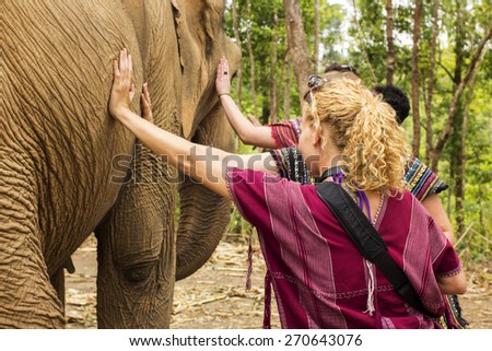 CHIANG MAI, THAILAND - APRIL 13, 2015 : People touch elephant\'s belly to feel the baby moving inside\
in Chiang Mai, Thailand.