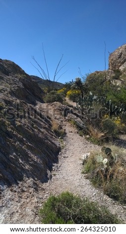 Desert path