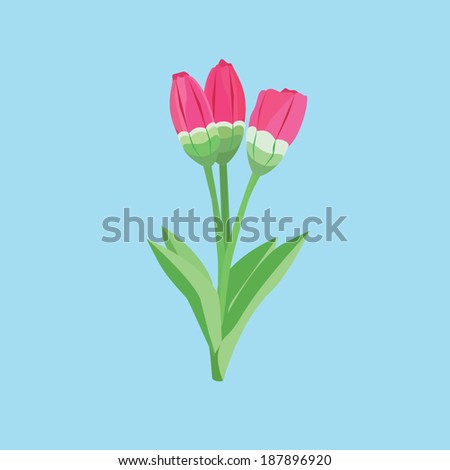 vector illustration of flowers tulips