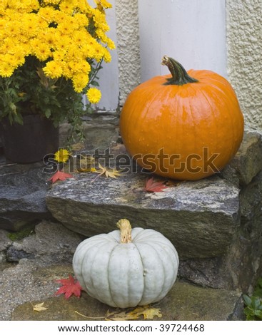 Orange and white pumpkins and yellow mums on stone steps of front porch for Halloween Thanksgiving