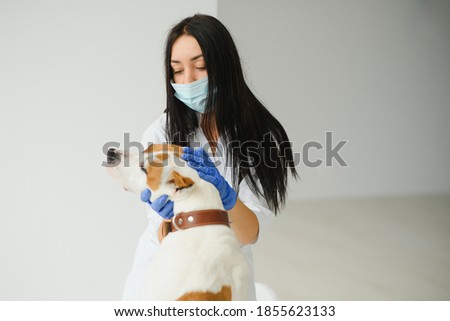 Portrait of confident female veterinarian examining dog in hospital