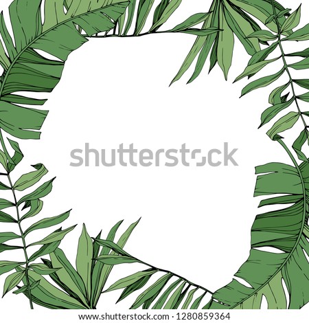 Vector Green leaf plant botanical garden floral foliage. Engraved ink art. Exotic tropical hawaiian summer. Palm beach tree leaves jungle botanical. Frame border ornament square.