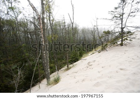Moving sand dunes in SÃ?Â??owiÃ?Â??ski National Park in Poland. The sand dunes are moving directly over the forest with a speed of 3 to 10m per year.