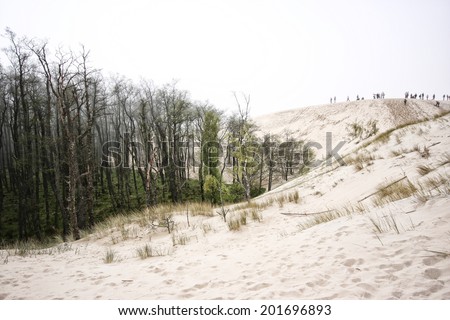 Moving sand dunes in SÃ?Â??owiÃ?Â??ski National Park in Poland. The sand dunes are moving directly over the forest with a speed of 3 to 10m per year.
