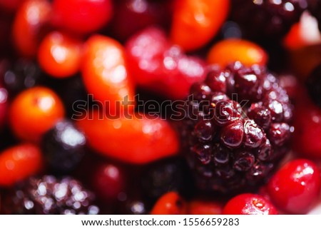 nordic berries on the plate