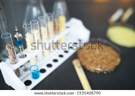 Test tubes with seeds of selection plants. Research Analyzing Agricultural Grains And seeds In The Laboratory