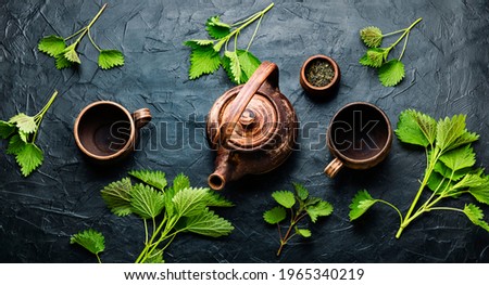 Fresh herbal tea with nettle leaves.Herbal medicine,homeopathy.Tea drinking