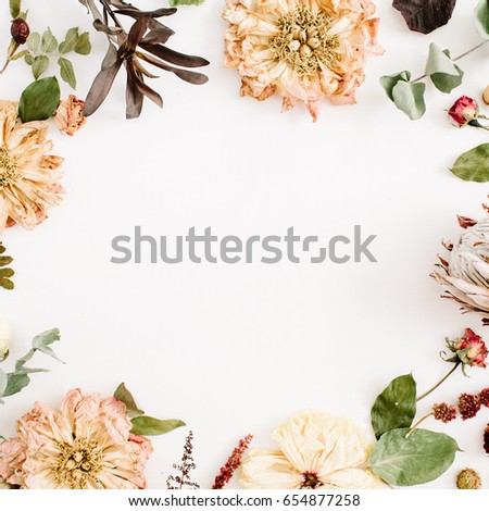 Frame with dried flowers: beige peony, protea, eucalyptus branches, roses on white background. Flat lay, top view. Floral background