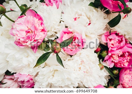 Close-up of white and pink peony flowers. Valentine's day or Mother's day background. Flat lay, top view flower texture.