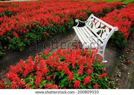 bench in the flower garden
