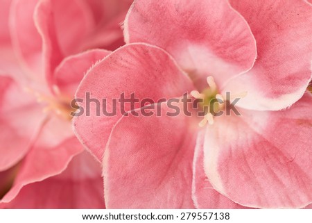 pattern petal of Artificial pink flower  in texture