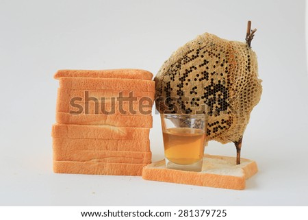 slice of bread with honey