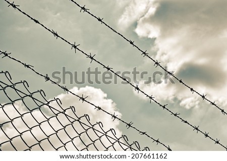 wire fence in the sky background