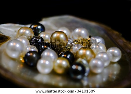 Pearls in Oyster shell, selective focus, focus on the gold pearl
