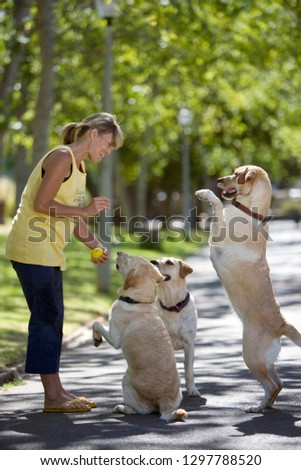 Smiling woman obedience training three dogs on walk in park