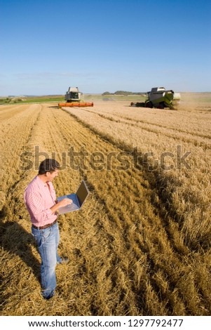 Farmer with laptop in barley field with combine harvesters at work