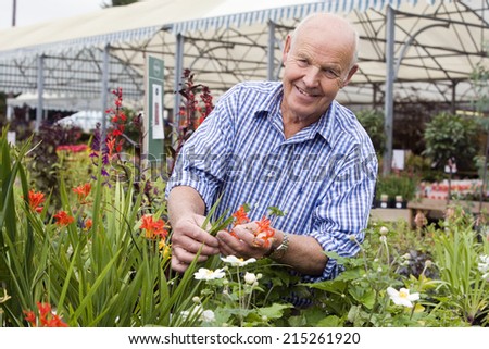 Senior man shopping in garden centre, holding red flower, smiling, portrait