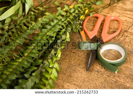 Scissors and ribbon beside plant in flower shop, close-up (still life)