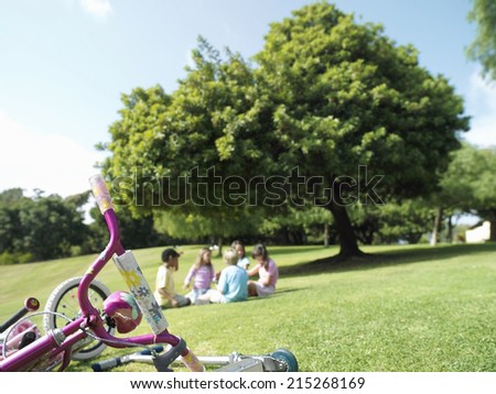 Group of children sitting on grass in park, bicycles in foreground