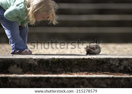 Girl (3-5) looking at hedgehog beside steps, side view, low section