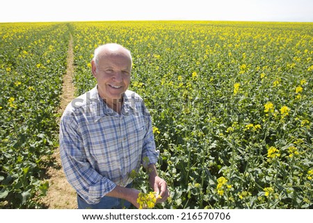 Smiling farmer standing in sunny rape seed field