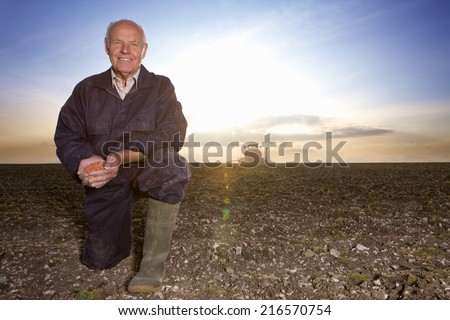 Smiling farmer cupping wheat seed in ploughed field with tractor in background