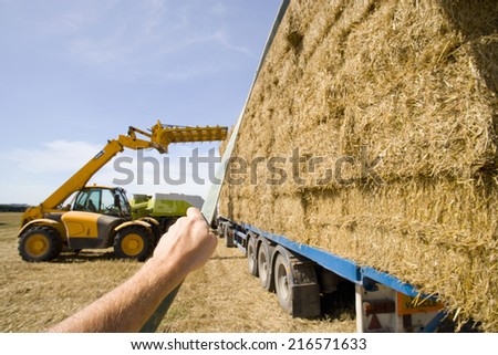 Man fastening strap around straw bales on trailer