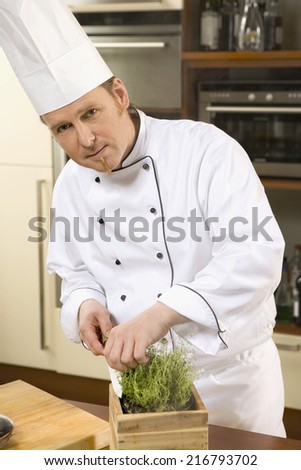 A chef cooking in a kitchen.