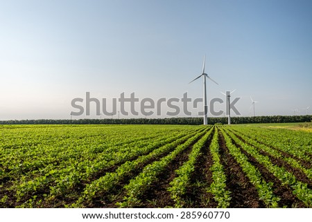 Green field of barley and wind turbines generating electricity