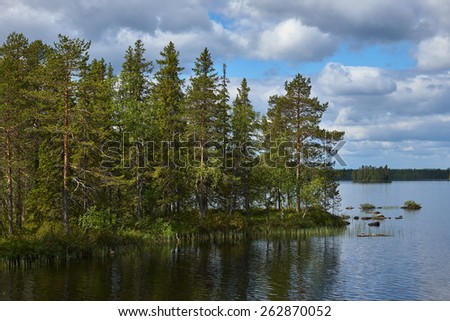 Nordic landscape with lake and forest