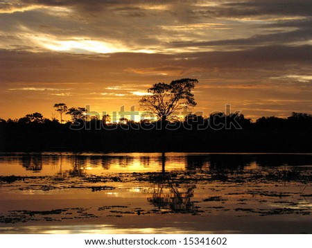 map of brazil amazon river. at Amazon river, Brazil