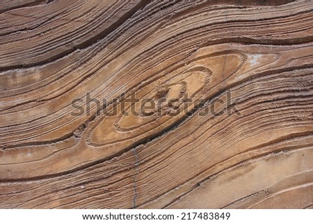 Texture of Artificial wood tile