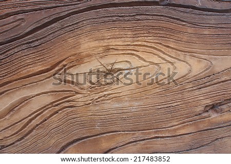 Texture of Artificial wood tile