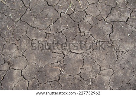 Drought make soil cracking