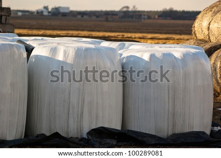 silage, bales, hay bales, plastic wrap cover for wheat cereal bales outdoor