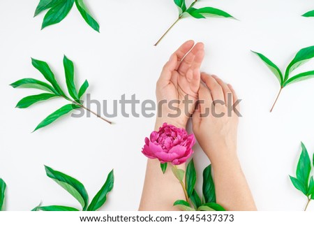 two female hands hold a stem with a blooming peony on a white background, top view