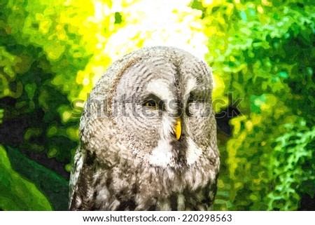 Grey Owl look at you,Clip-Art