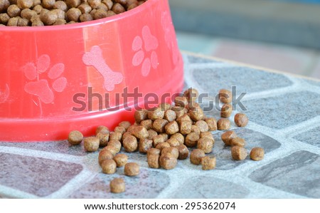 dog food in red  bowl